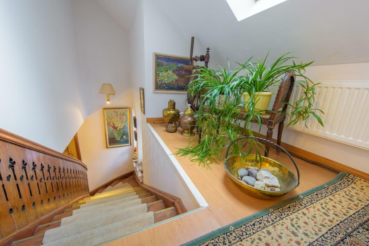 Villa Parkowa 5 Świeradów-Zdrój 외부 사진